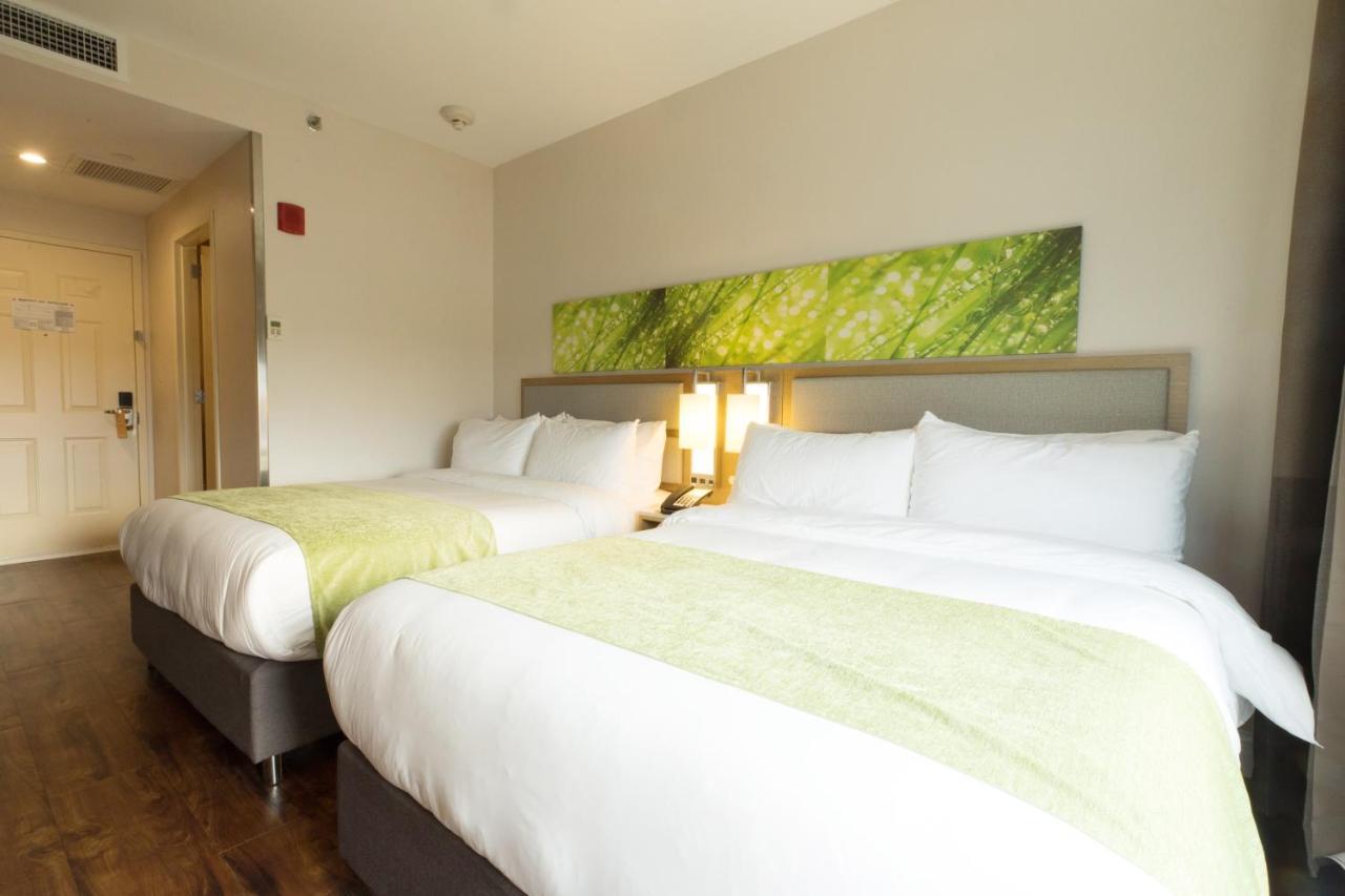 Wyndham Garden Fresh Meadows Flushing Ξενοδοχείο Νέα Υόρκη Εξωτερικό φωτογραφία