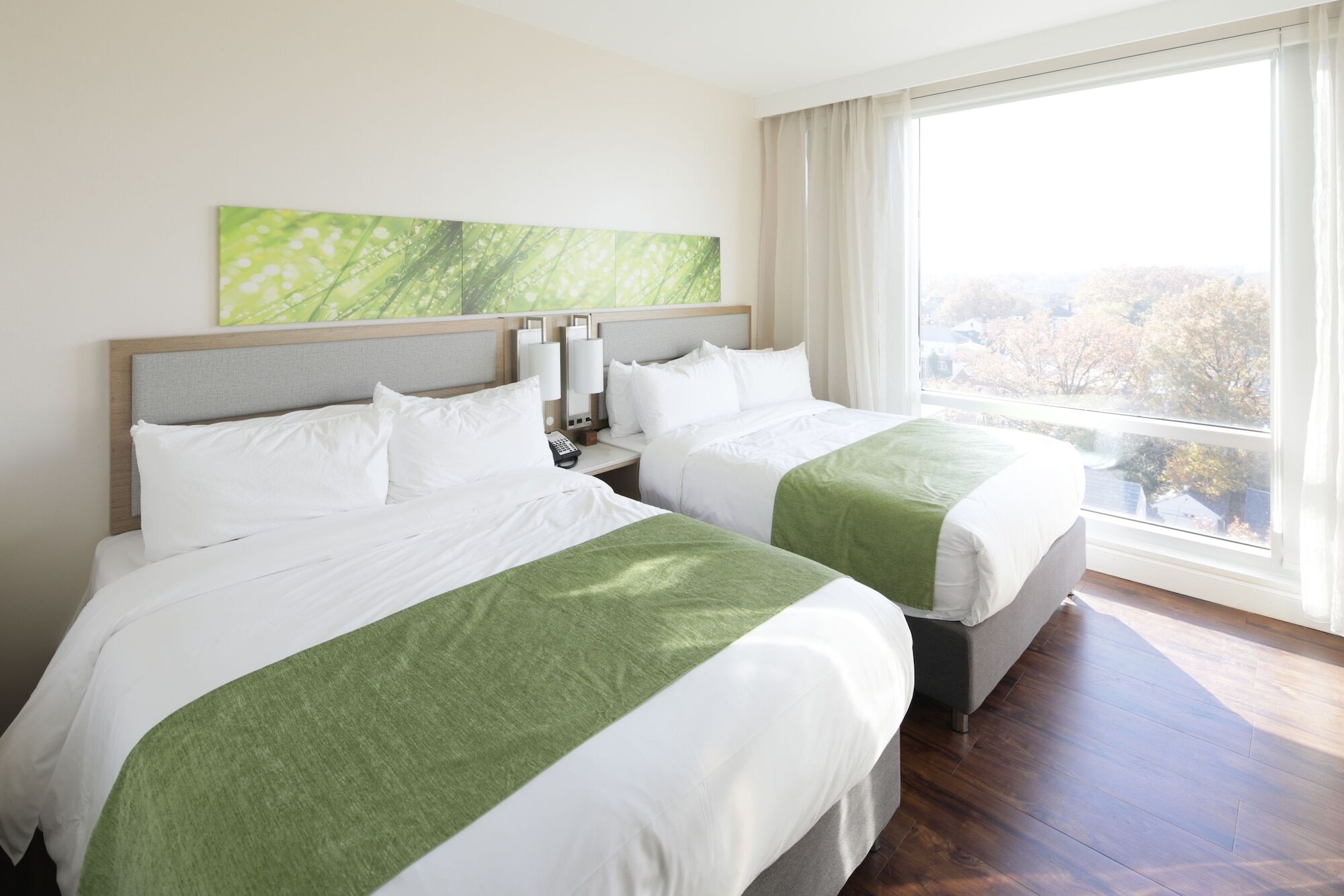 Wyndham Garden Fresh Meadows Flushing Ξενοδοχείο Νέα Υόρκη Εξωτερικό φωτογραφία
