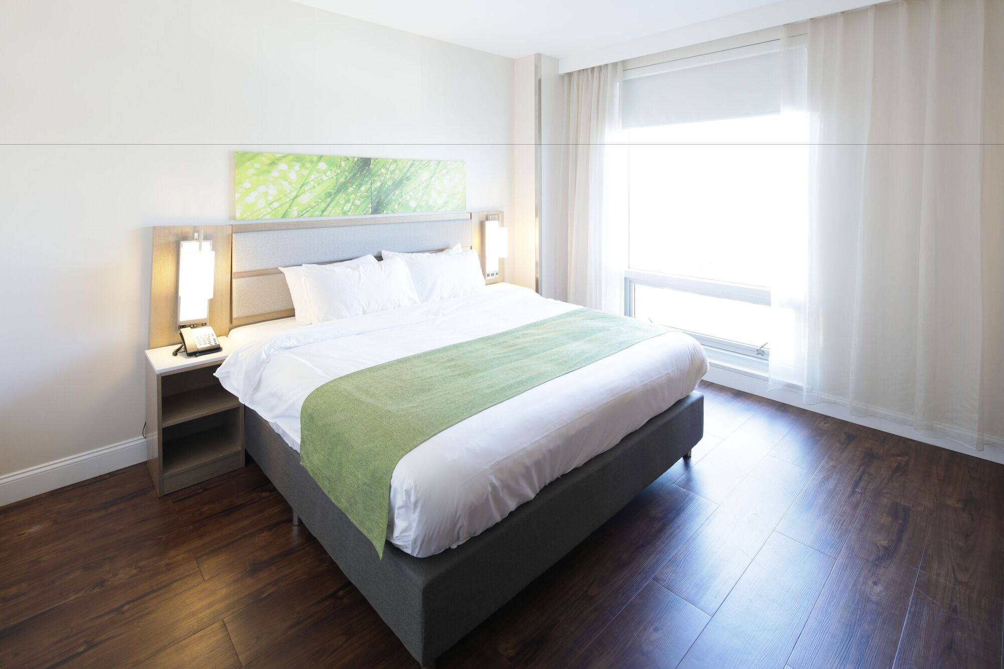Wyndham Garden Fresh Meadows Flushing Ξενοδοχείο Νέα Υόρκη Εξωτερικό φωτογραφία